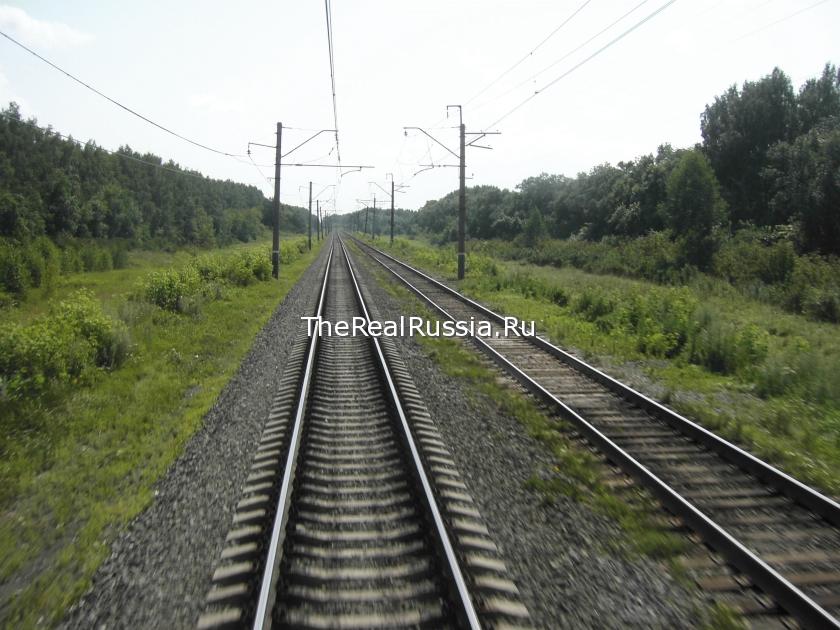 Endless rails and forest in Russia